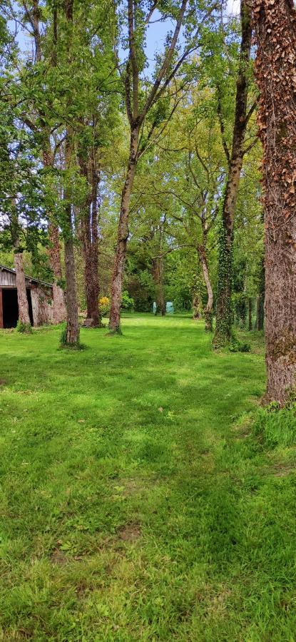 Le Gite De L'Ecurie Forges-la-Foret Zewnętrze zdjęcie