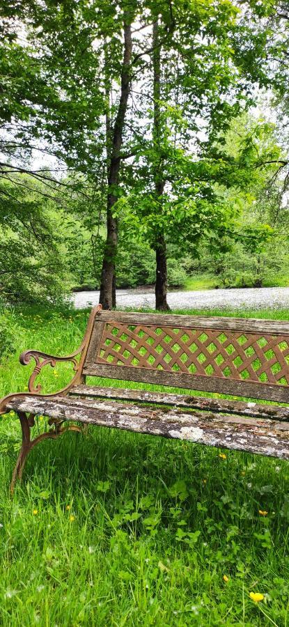 Le Gite De L'Ecurie Forges-la-Foret Zewnętrze zdjęcie